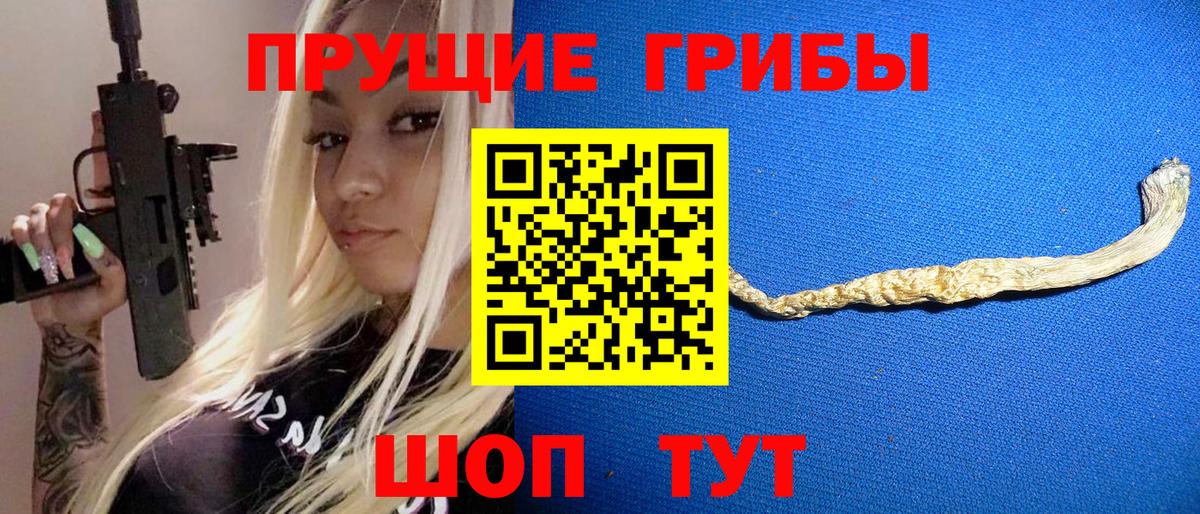 Галлюциногенные грибы прущие грибы Сосновый Бор